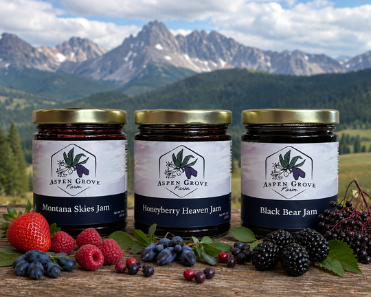 Taste of Montana jam trio beneath the Bitterroot Mountains